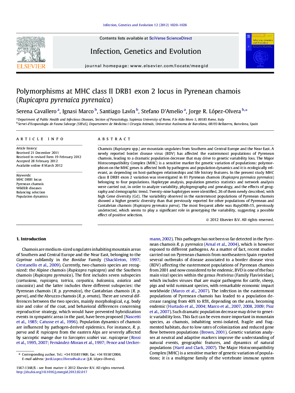 Polymorphisms at MHC class II DRB1 exon 2 locus in Pyrenean chamois (Rupicapra pyrenaica pyrenaica)