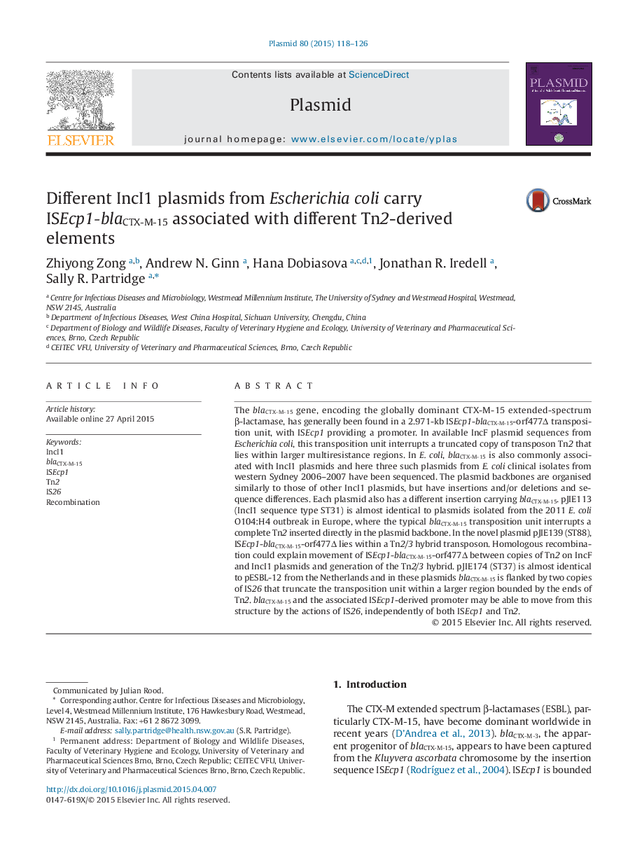 Different IncI1 plasmids from Escherichia coli carry ISEcp1-blaCTX-M-15 associated with different Tn2-derived elements