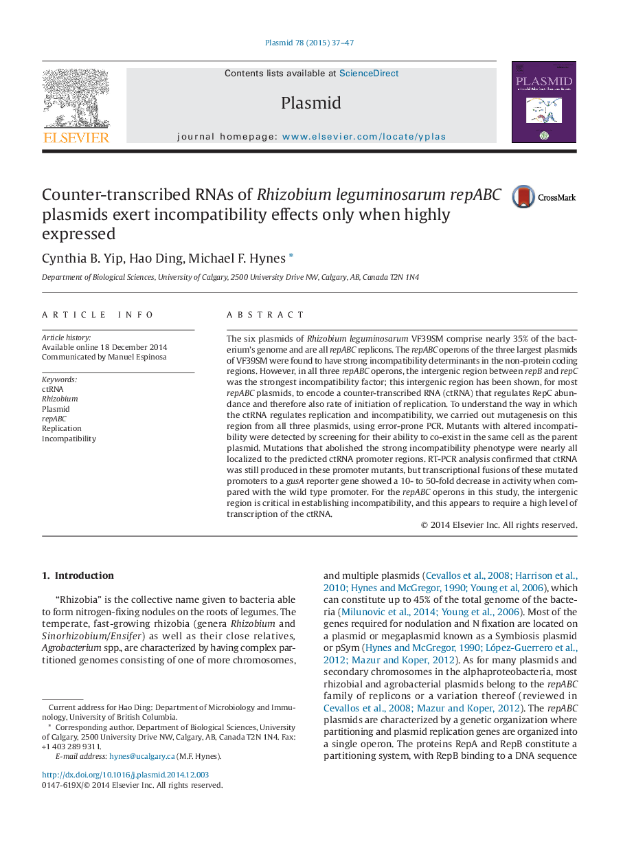 Counter-transcribed RNAs of Rhizobium leguminosarum repABC plasmids exert incompatibility effects only when highly expressed