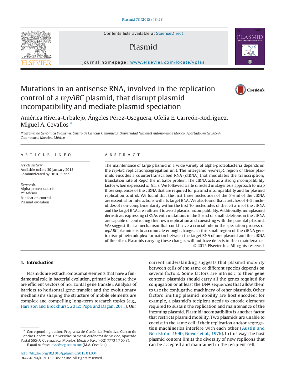 Mutations in an antisense RNA, involved in the replication control of a repABC plasmid, that disrupt plasmid incompatibility and mediate plasmid speciation