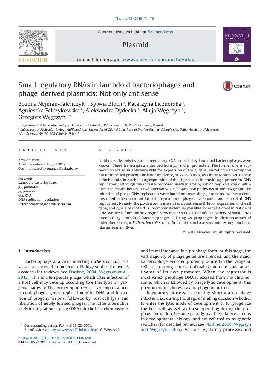 Small regulatory RNAs in lambdoid bacteriophages and phage-derived plasmids: Not only antisense