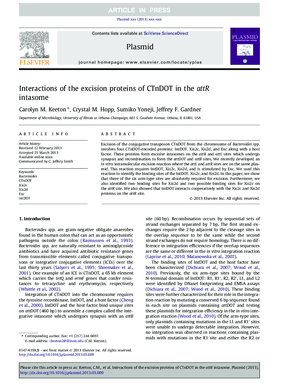 Interactions of the excision proteins of CTnDOT in the attR intasome