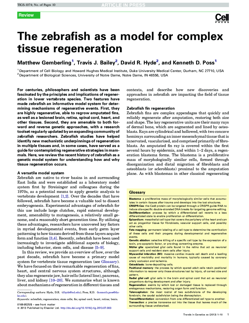 The zebrafish as a model for complex tissue regeneration