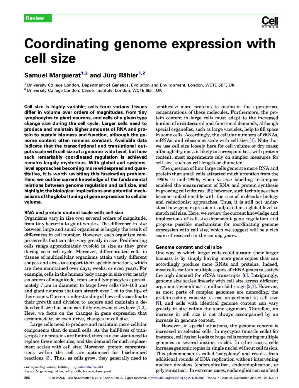 Coordinating genome expression with cell size