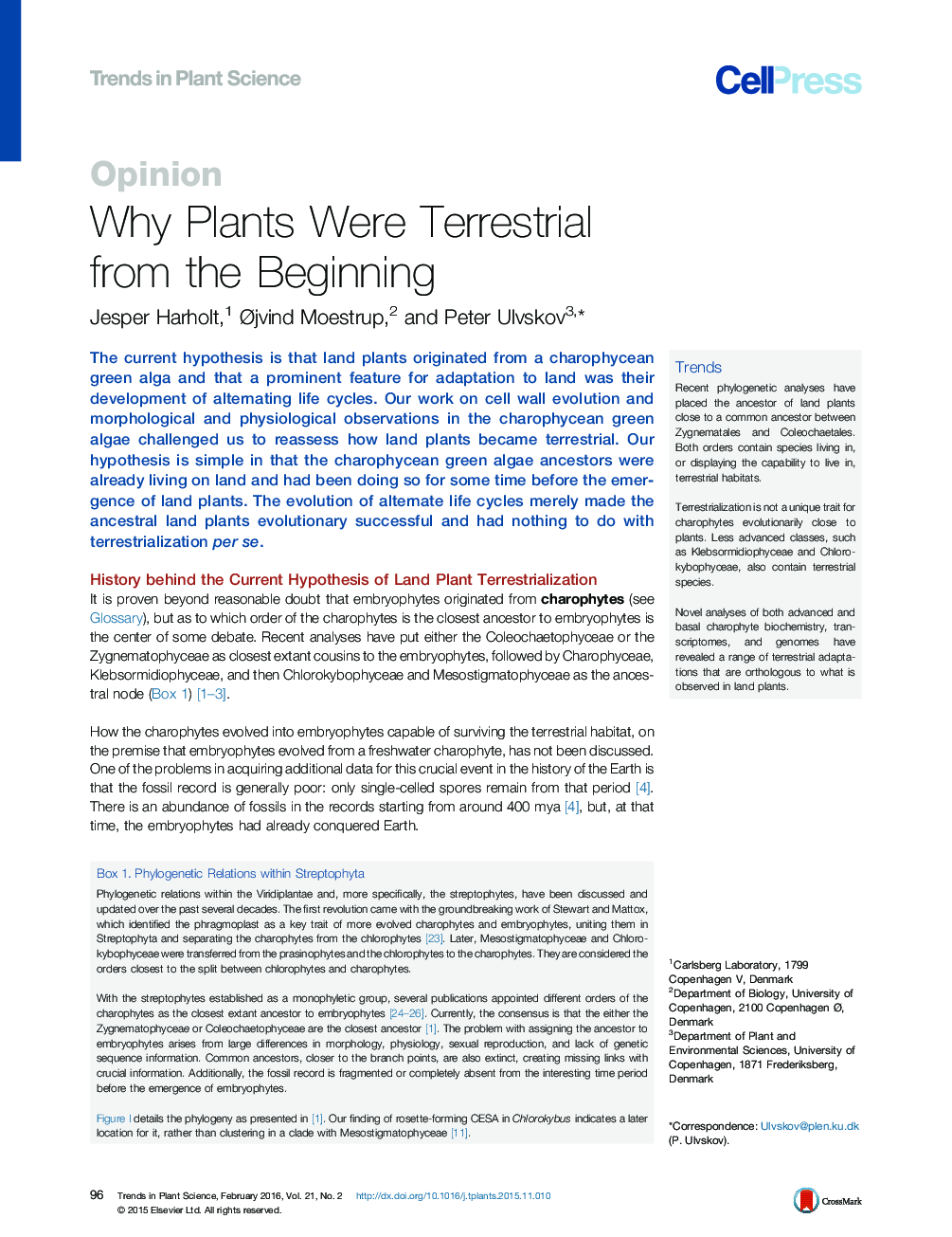 Why Plants Were Terrestrial from the Beginning