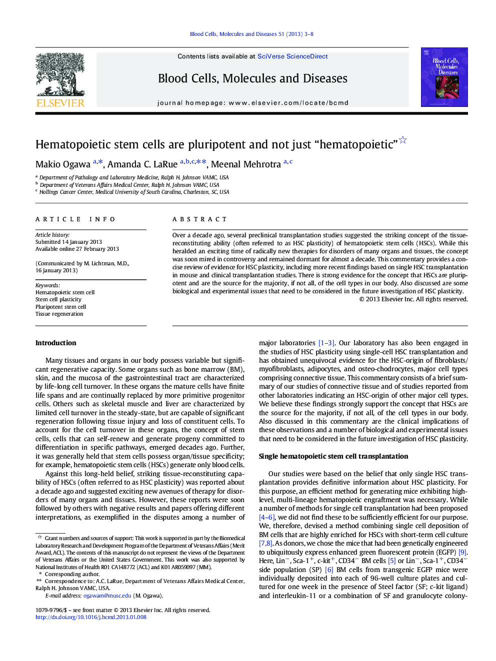 Hematopoietic stem cells are pluripotent and not just “hematopoietic”