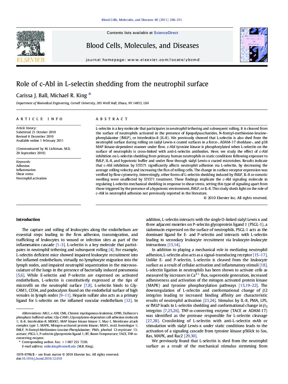 Role of c-Abl in L-selectin shedding from the neutrophil surface