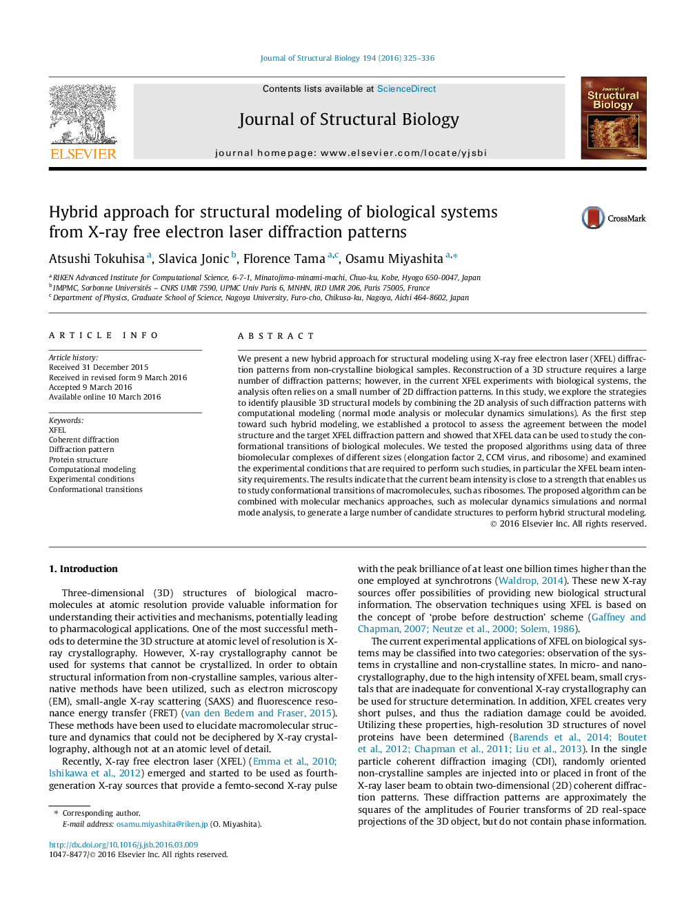 Hybrid approach for structural modeling of biological systems from X-ray free electron laser diffraction patterns