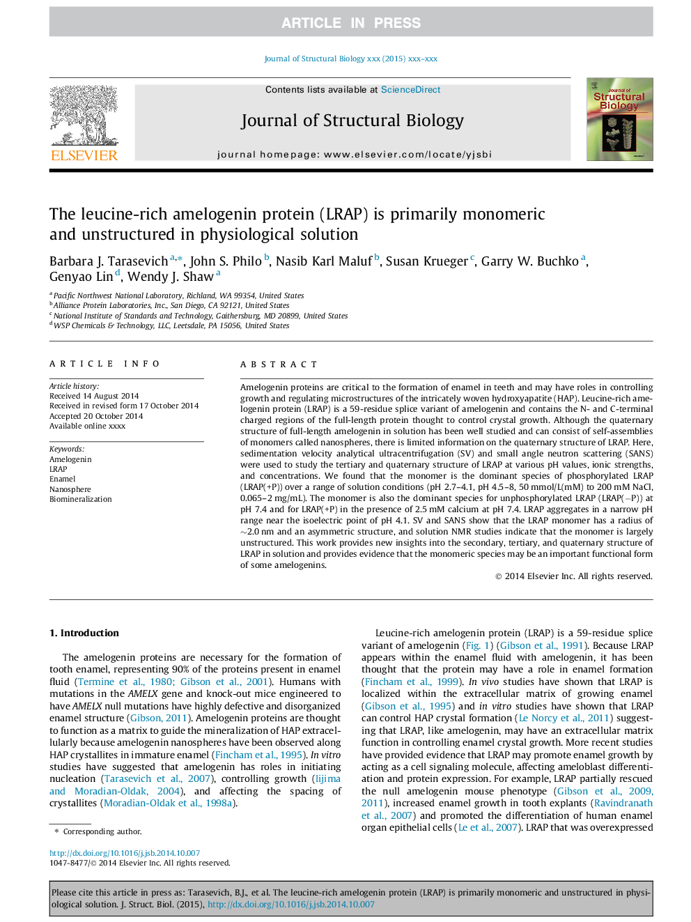 The leucine-rich amelogenin protein (LRAP) is primarily monomeric and unstructured in physiological solution