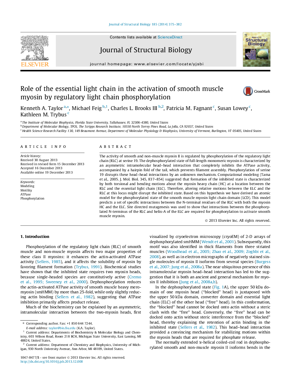 Role of the essential light chain in the activation of smooth muscle myosin by regulatory light chain phosphorylation