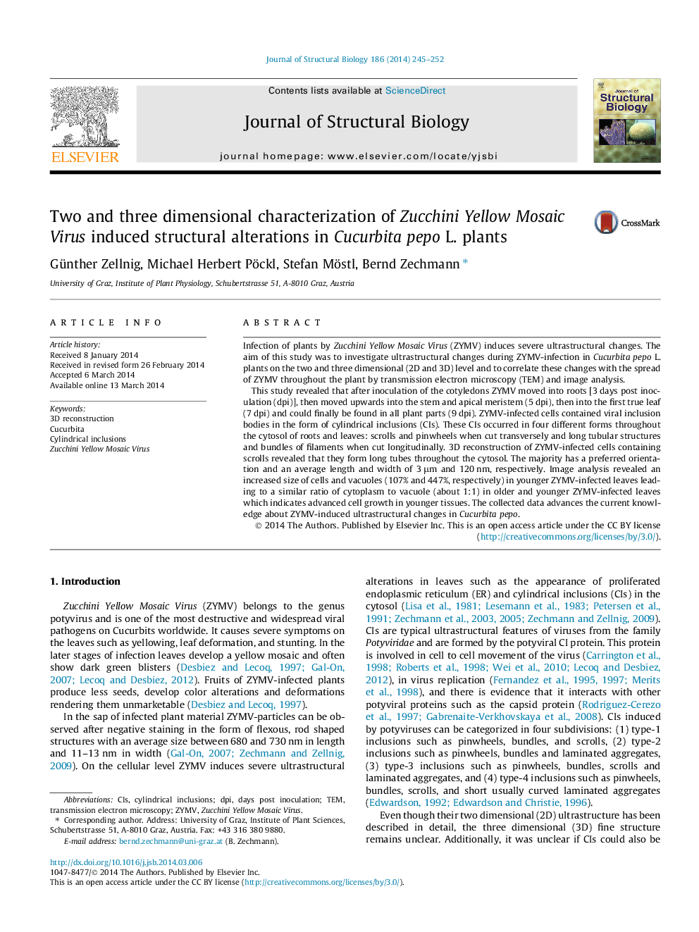 Two and three dimensional characterization of Zucchini Yellow Mosaic Virus induced structural alterations in Cucurbita pepo L. plants