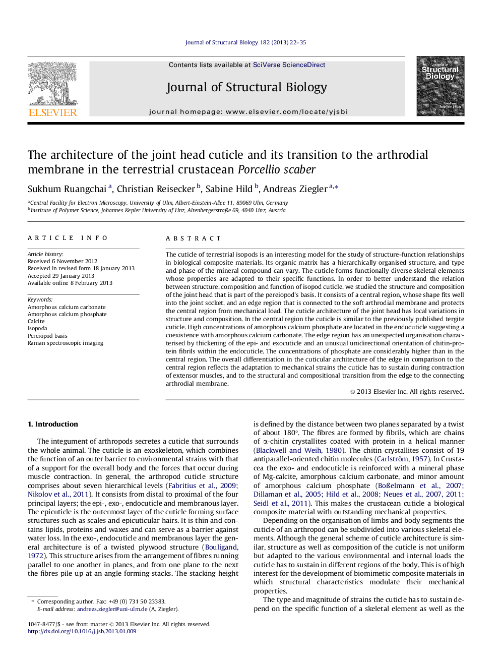 The architecture of the joint head cuticle and its transition to the arthrodial membrane in the terrestrial crustacean Porcellio scaber