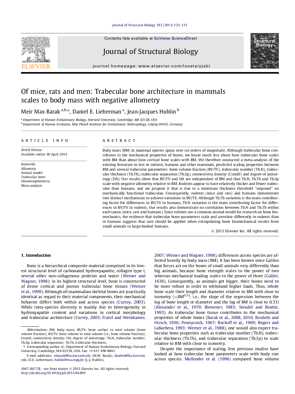 Of mice, rats and men: Trabecular bone architecture in mammals scales to body mass with negative allometry