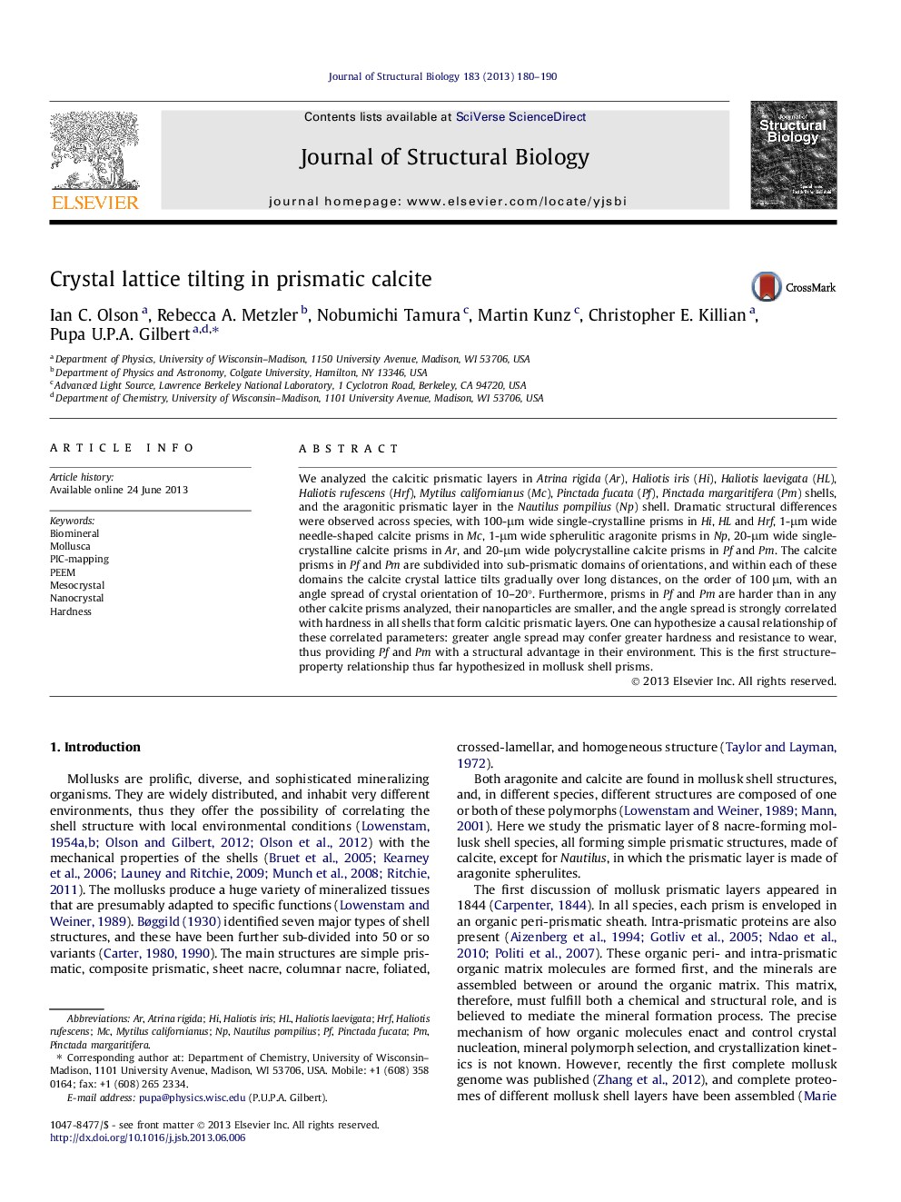 Crystal lattice tilting in prismatic calcite