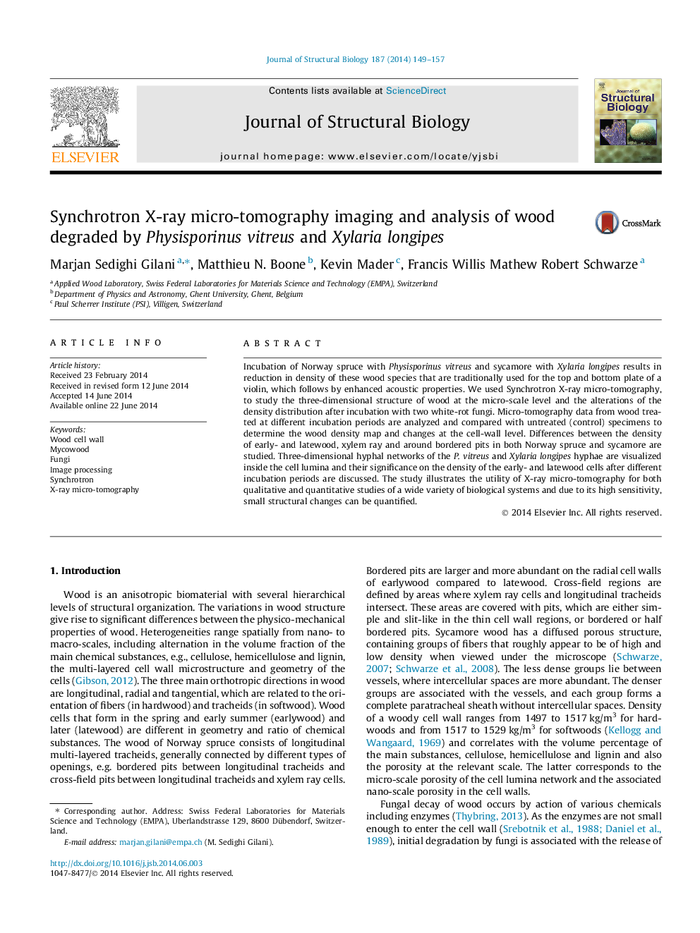 Synchrotron X-ray micro-tomography imaging and analysis of wood degraded by Physisporinus vitreus and Xylaria longipes