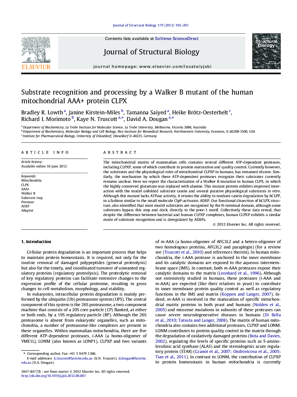 Substrate recognition and processing by a Walker B mutant of the human mitochondrial AAA+ protein CLPX