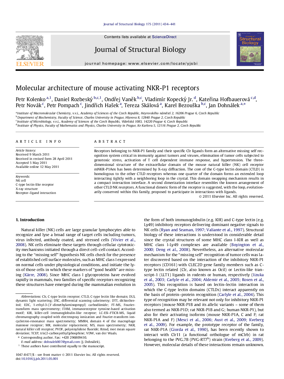 Molecular architecture of mouse activating NKR-P1 receptors