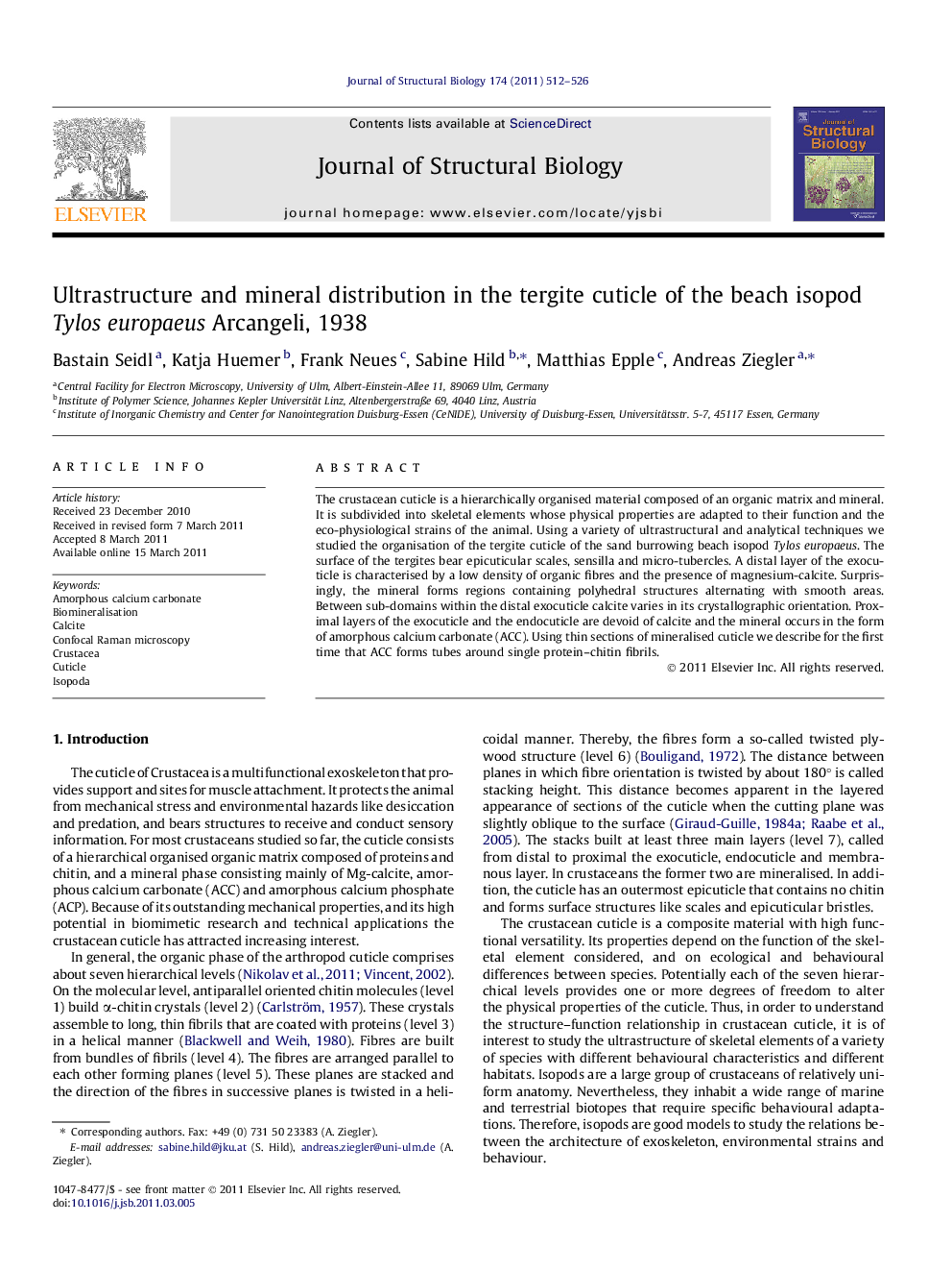 Ultrastructure and mineral distribution in the tergite cuticle of the beach isopod Tylos europaeus Arcangeli, 1938