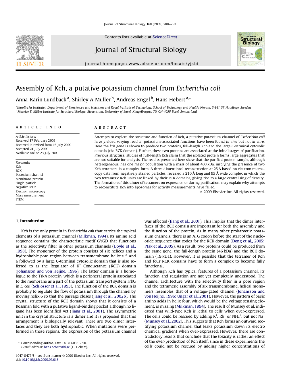 Assembly of Kch, a putative potassium channel from Escherichia coli