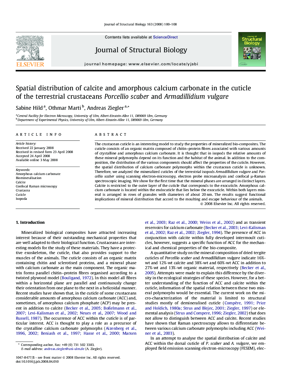 Spatial distribution of calcite and amorphous calcium carbonate in the cuticle of the terrestrial crustaceans Porcellio scaber and Armadillidium vulgare