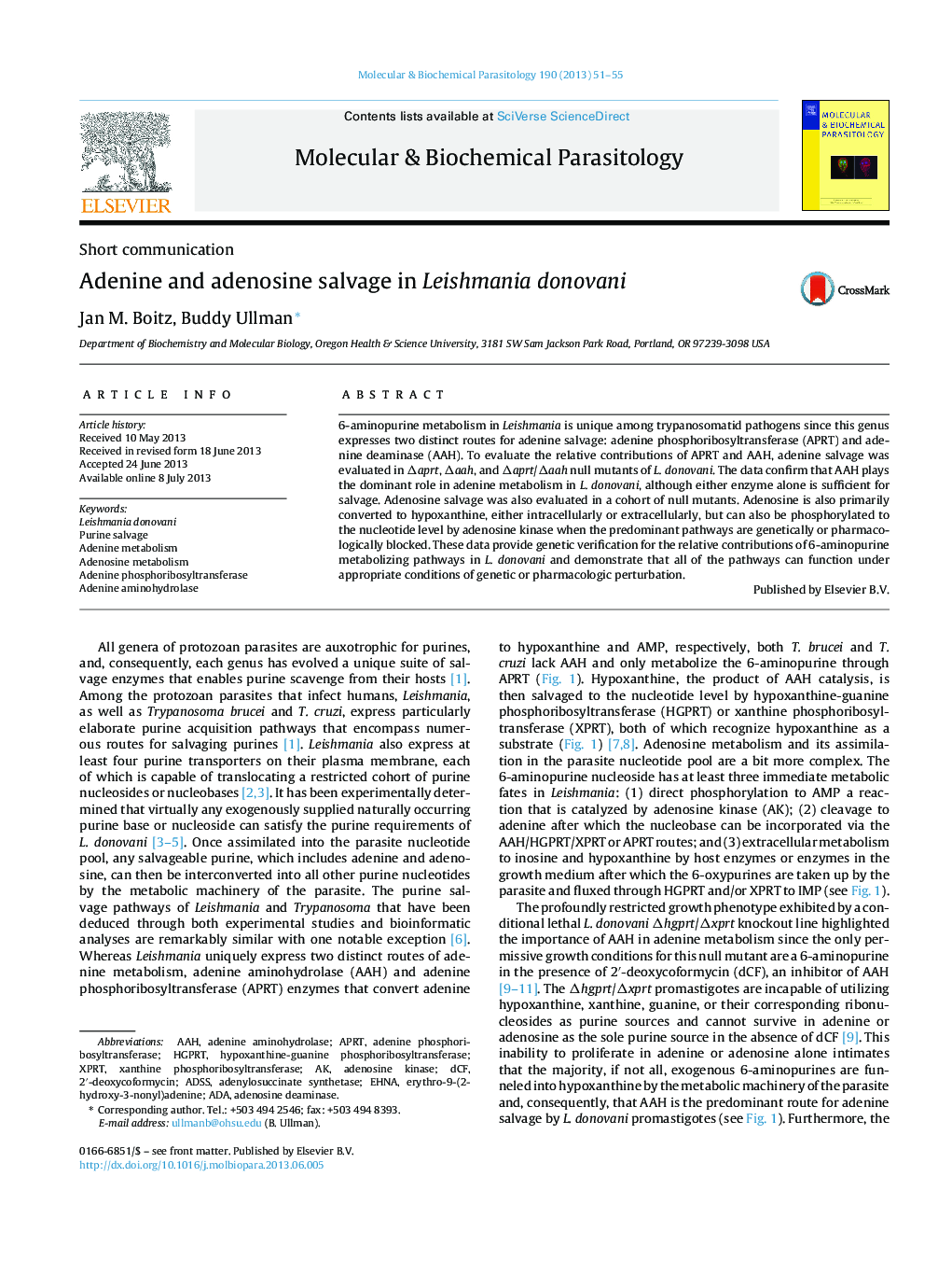 Adenine and adenosine salvage in Leishmania donovani