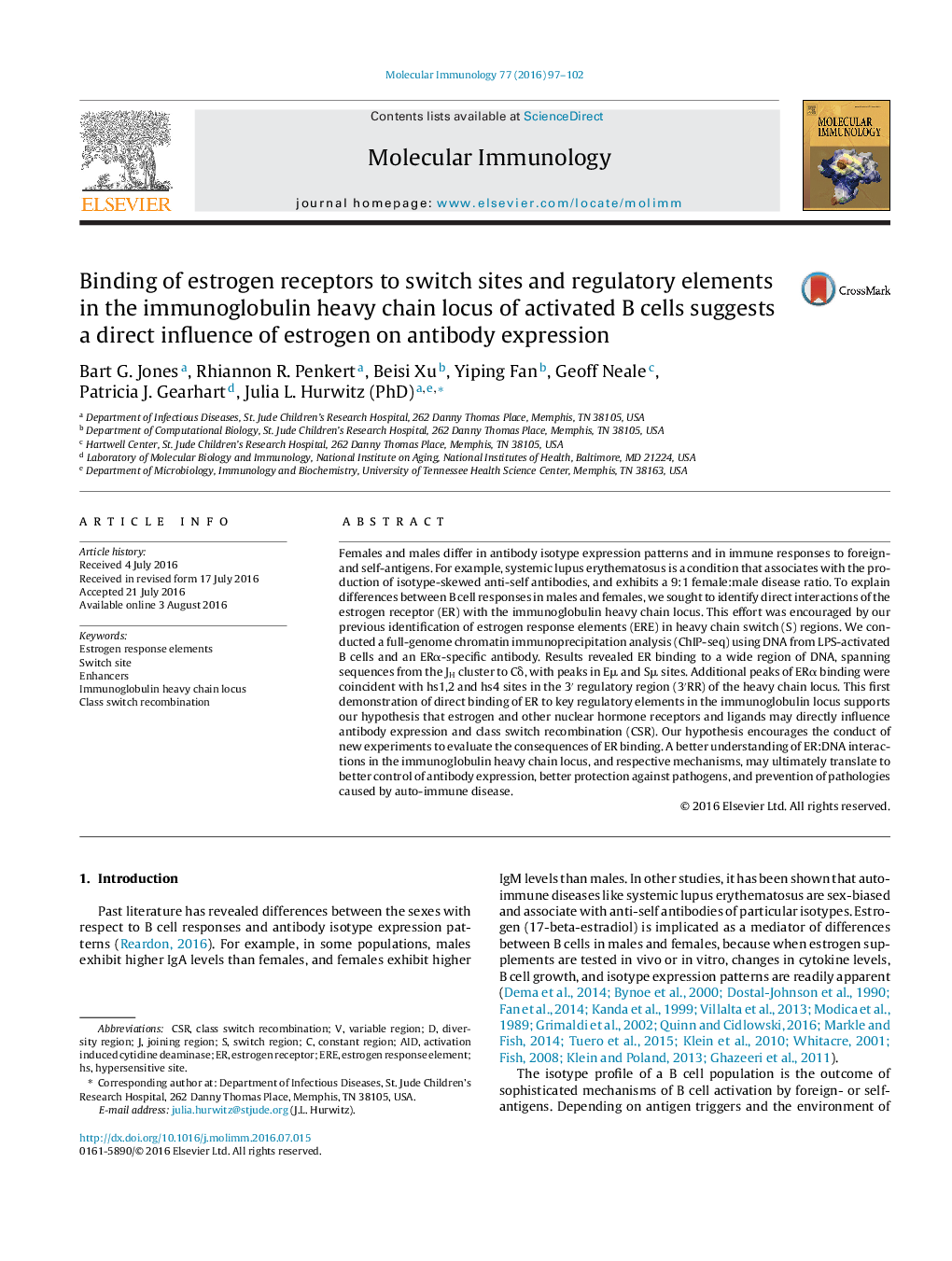 Binding of estrogen receptors to switch sites and regulatory elements in the immunoglobulin heavy chain locus of activated B cells suggests a direct influence of estrogen on antibody expression