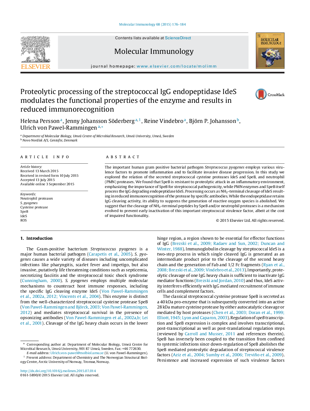 Proteolytic processing of the streptococcal IgG endopeptidase IdeS modulates the functional properties of the enzyme and results in reduced immunorecognition