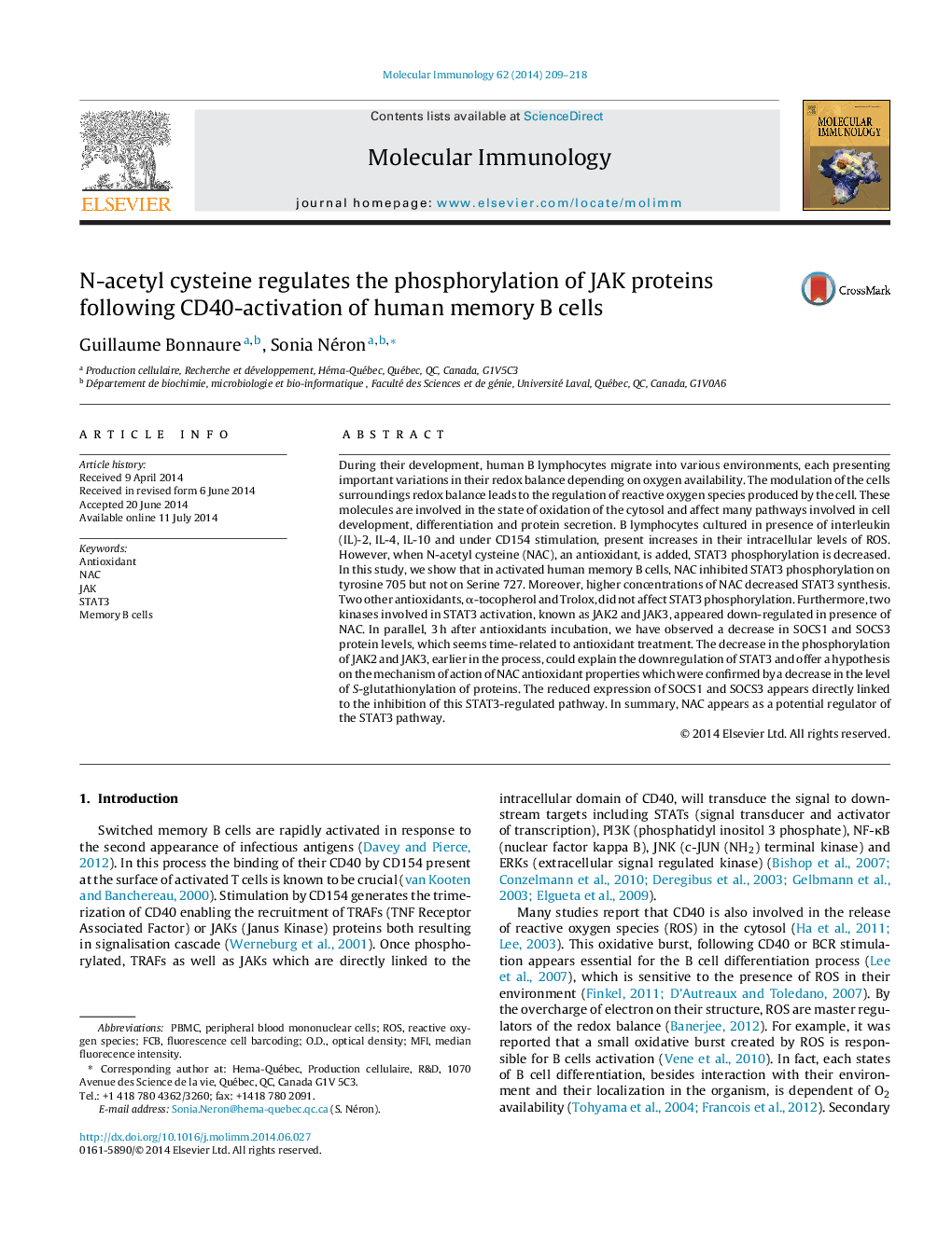 N-acetyl cysteine regulates the phosphorylation of JAK proteins following CD40-activation of human memory B cells