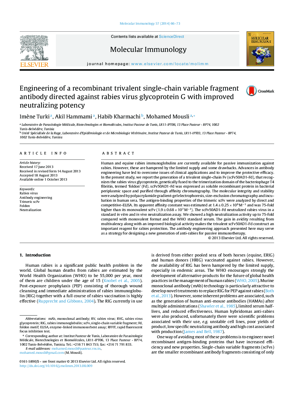 Engineering of a recombinant trivalent single-chain variable fragment antibody directed against rabies virus glycoprotein G with improved neutralizing potency