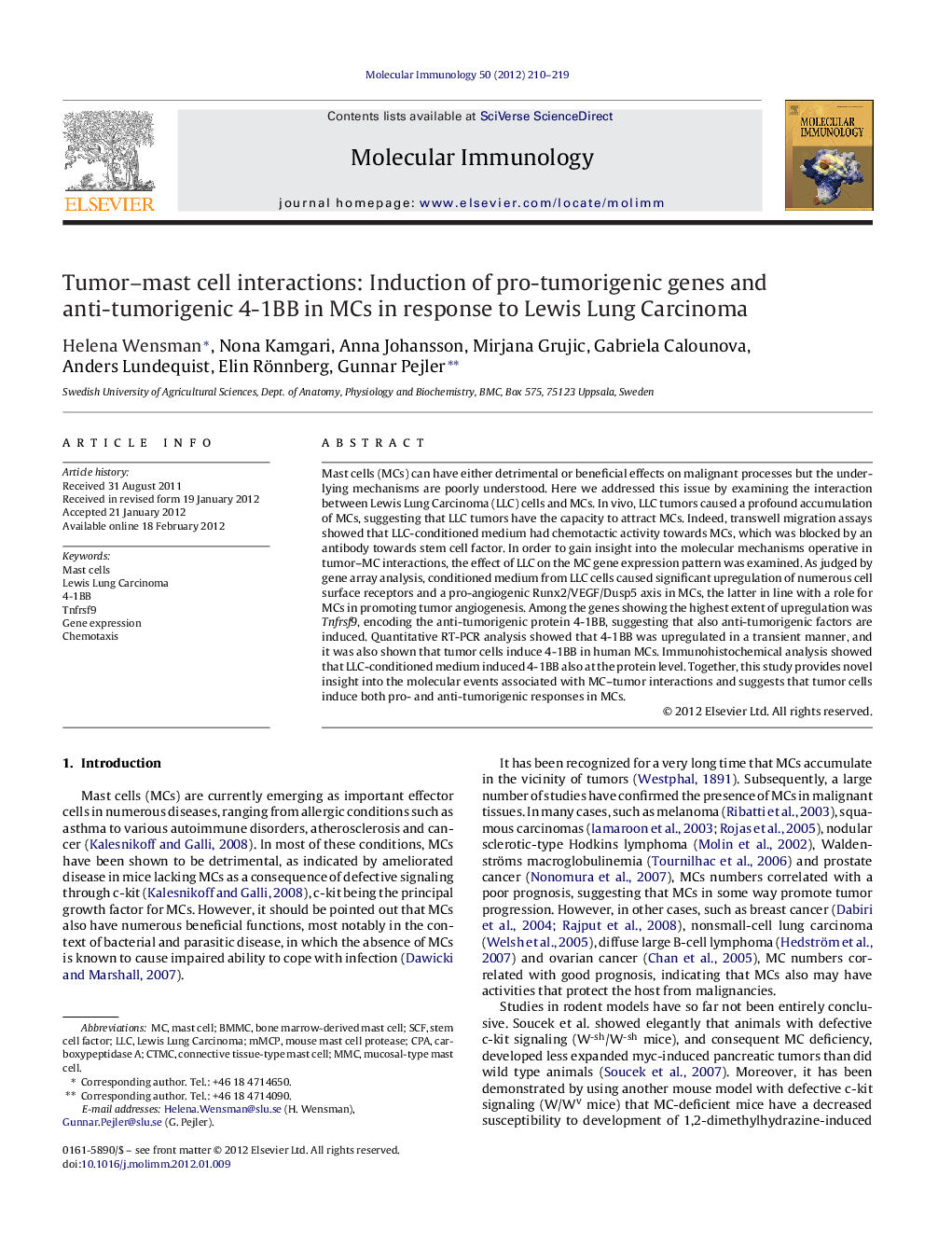 Tumor-mast cell interactions: Induction of pro-tumorigenic genes and anti-tumorigenic 4-1BB in MCs in response to Lewis Lung Carcinoma