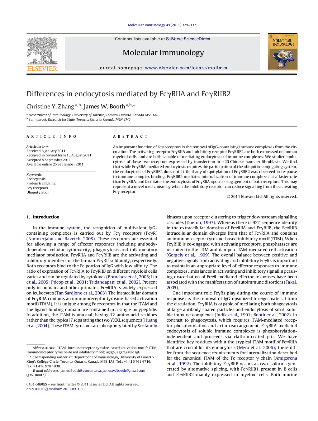 Differences in endocytosis mediated by FcÎ³RIIA and FcÎ³RIIB2