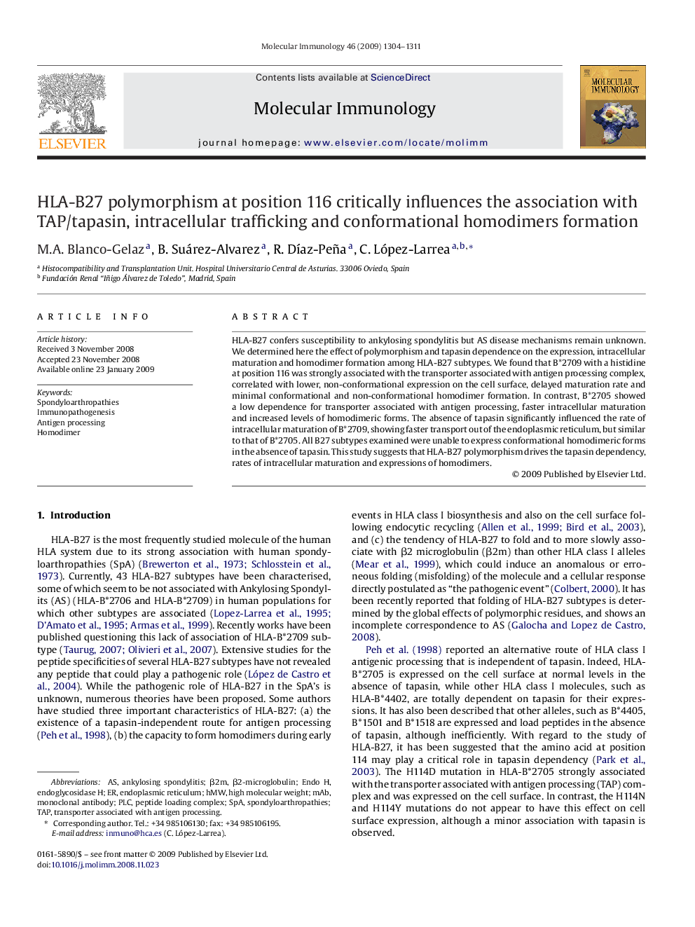 HLA-B27 polymorphism at position 116 critically influences the association with TAP/tapasin, intracellular trafficking and conformational homodimers formation