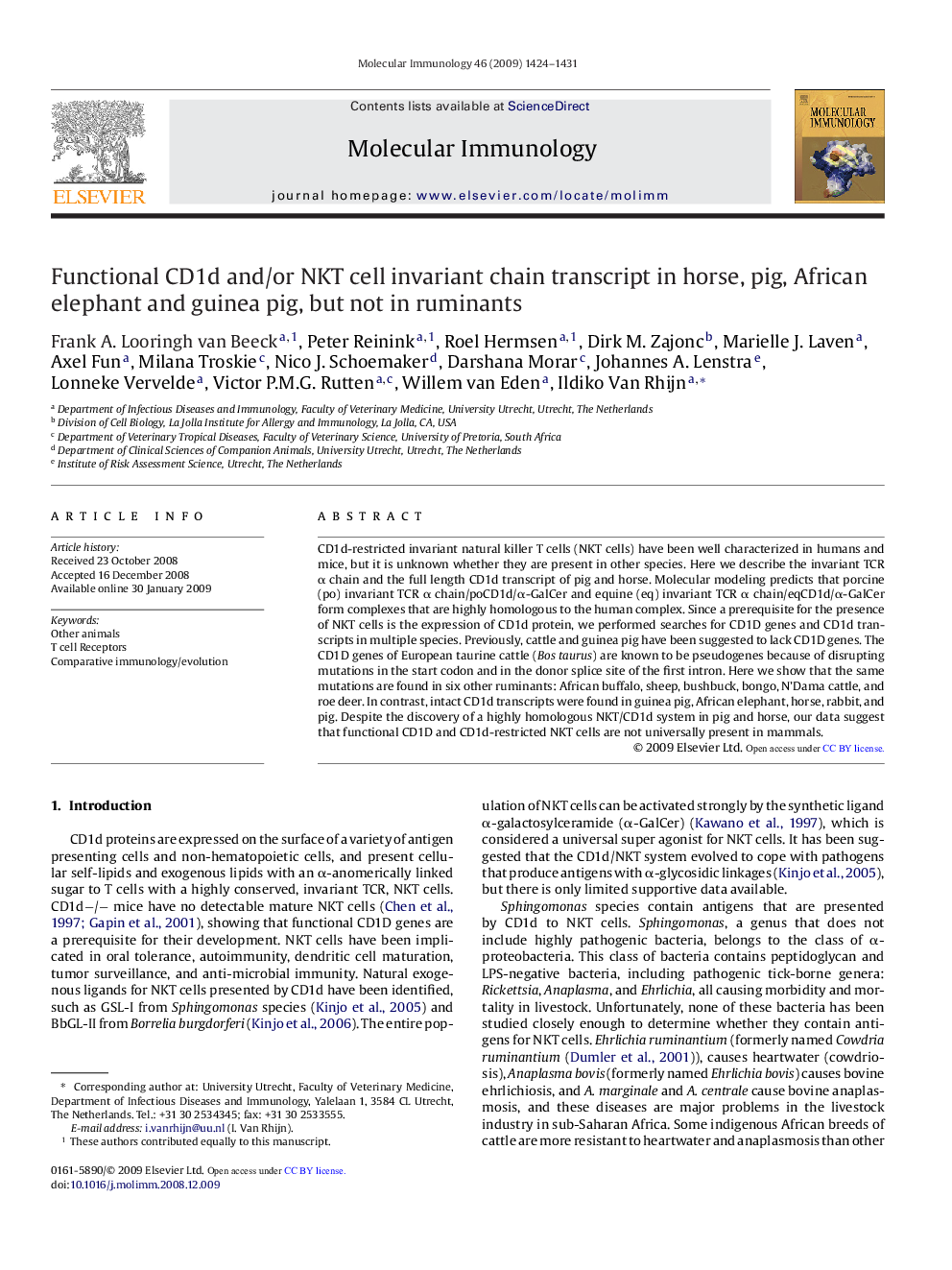 Functional CD1d and/or NKT cell invariant chain transcript in horse, pig, African elephant and guinea pig, but not in ruminants