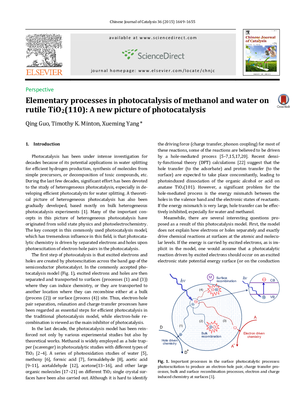 Elementary processes in photocatalysis of methanol and water on rutile TiO2(110): A new picture of photocatalysis 