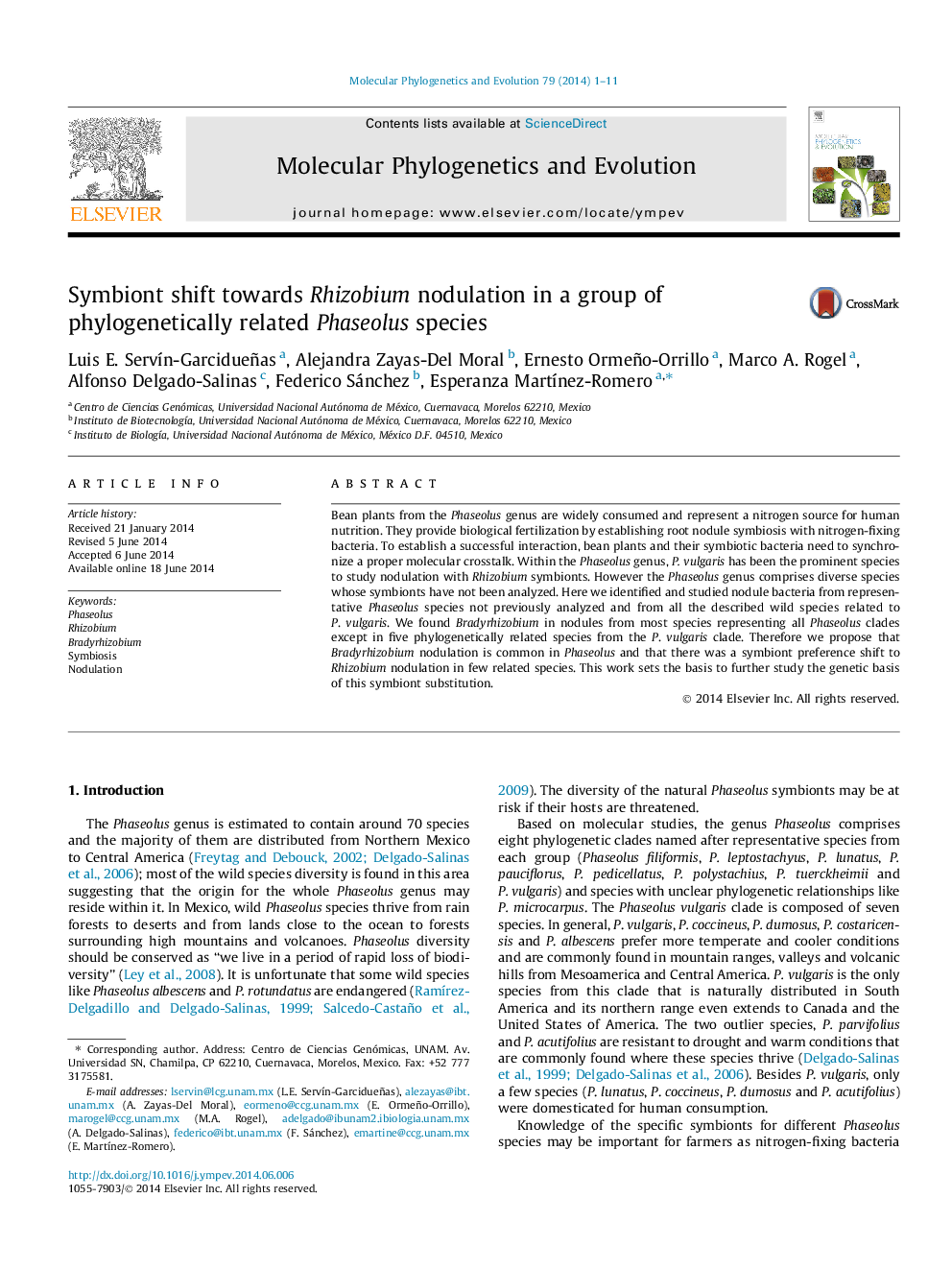 Symbiont shift towards Rhizobium nodulation in a group of phylogenetically related Phaseolus species