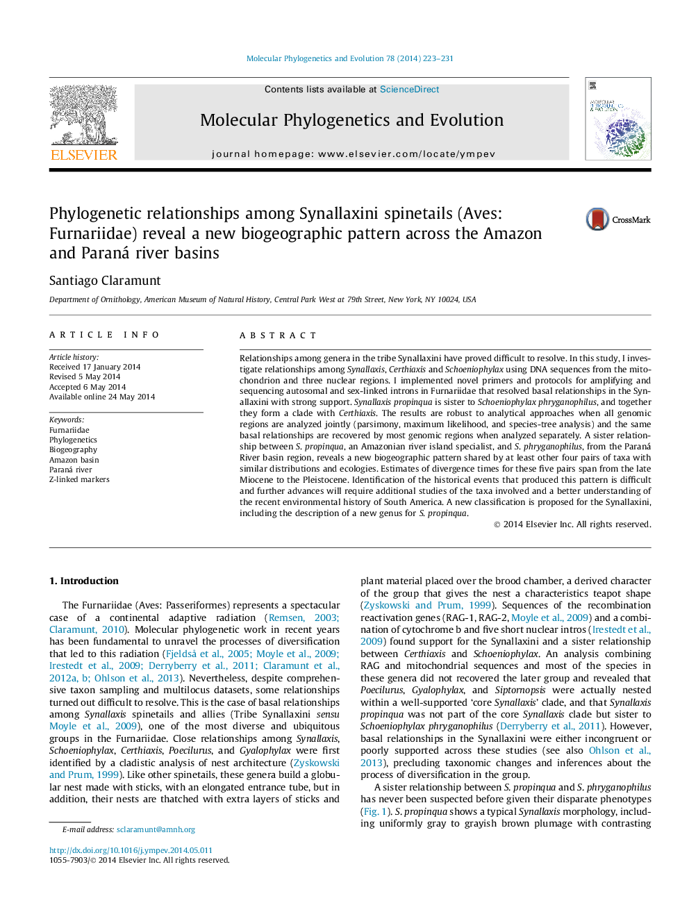 Phylogenetic relationships among Synallaxini spinetails (Aves: Furnariidae) reveal a new biogeographic pattern across the Amazon and Paraná river basins