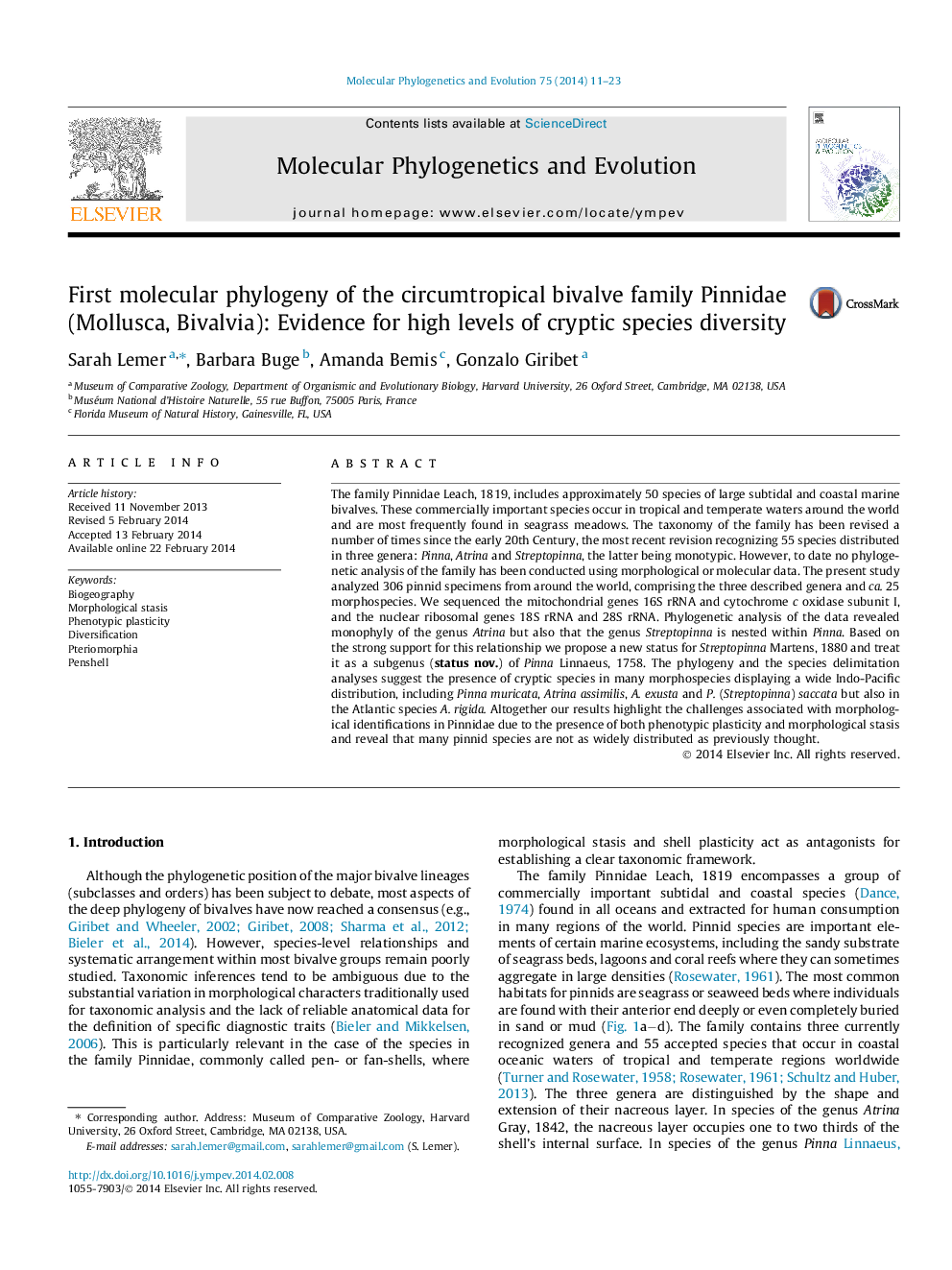 First molecular phylogeny of the circumtropical bivalve family Pinnidae (Mollusca, Bivalvia): Evidence for high levels of cryptic species diversity