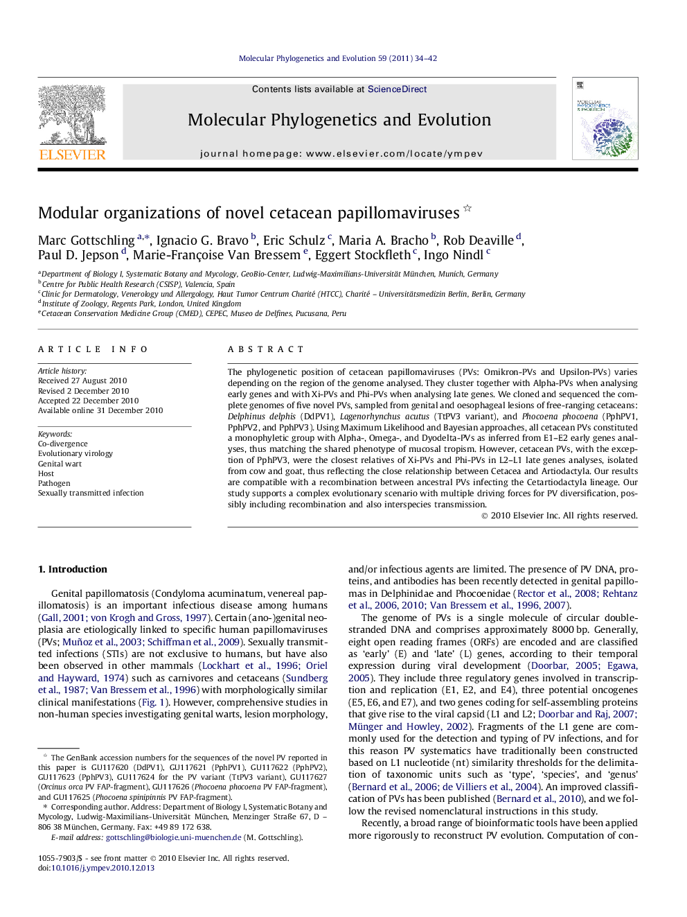 Modular organizations of novel cetacean papillomaviruses