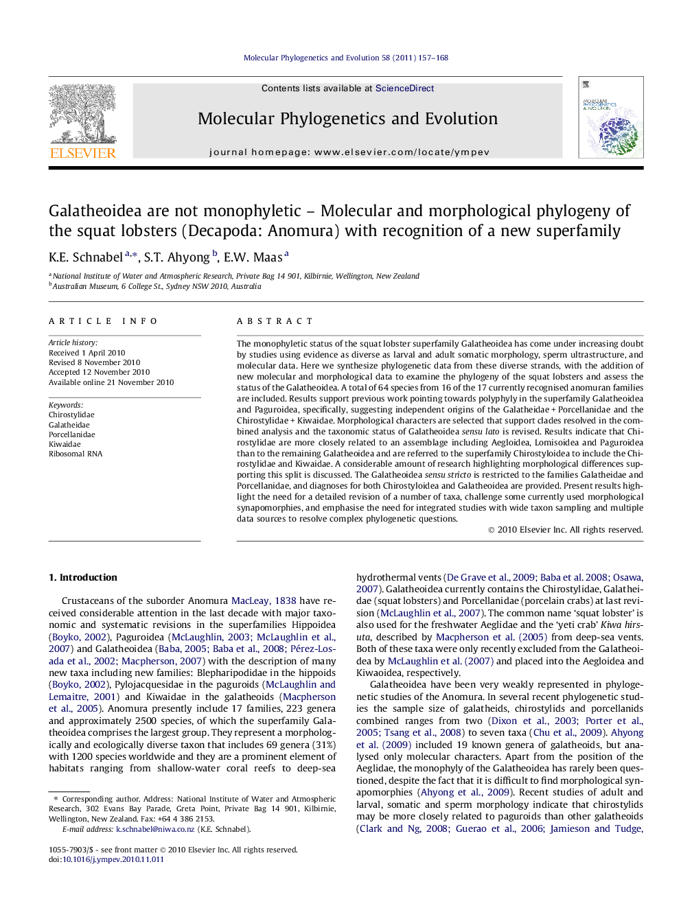 Galatheoidea are not monophyletic - Molecular and morphological phylogeny of the squat lobsters (Decapoda: Anomura) with recognition of a new superfamily