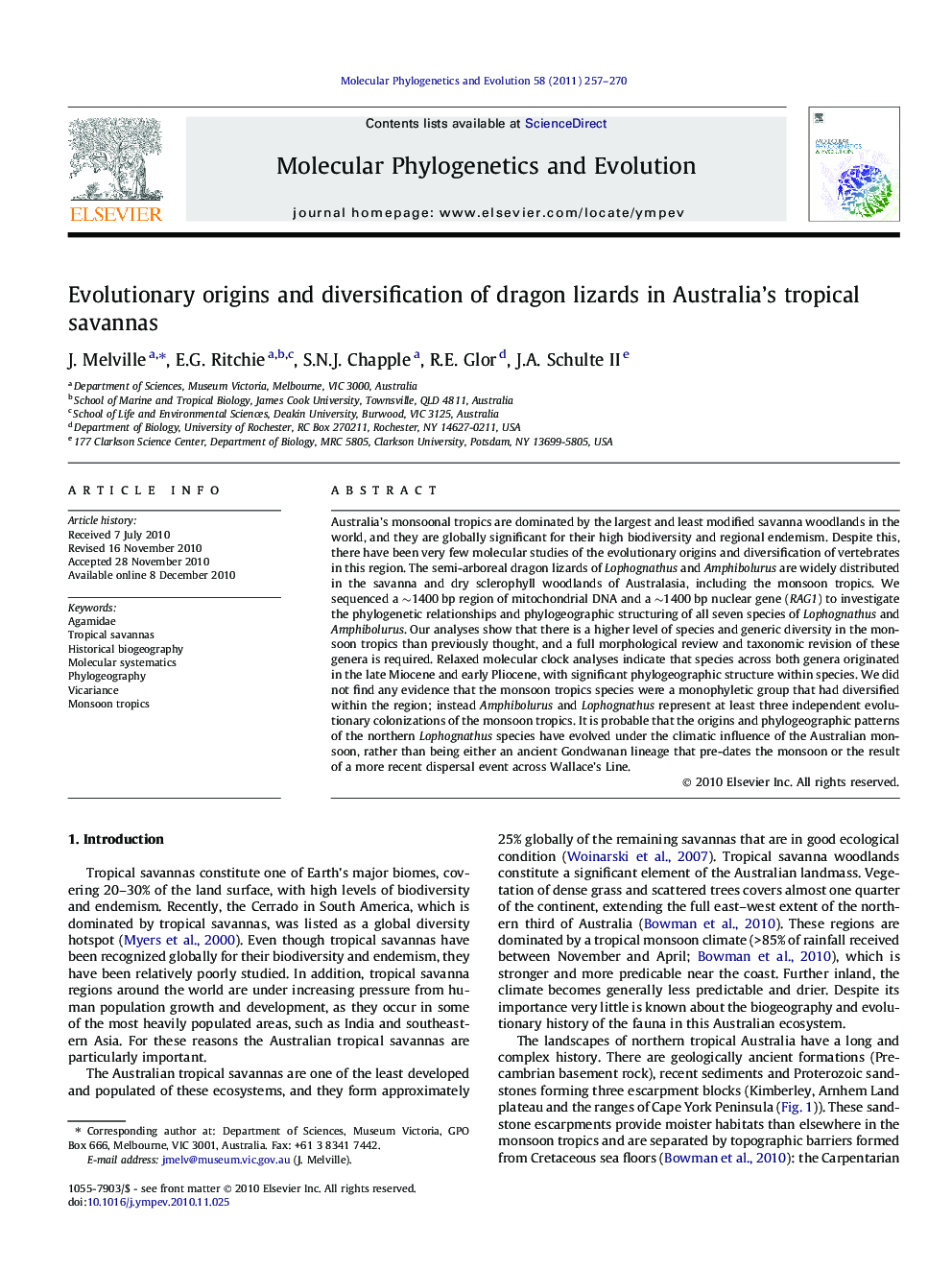 Evolutionary origins and diversification of dragon lizards in Australia's tropical savannas