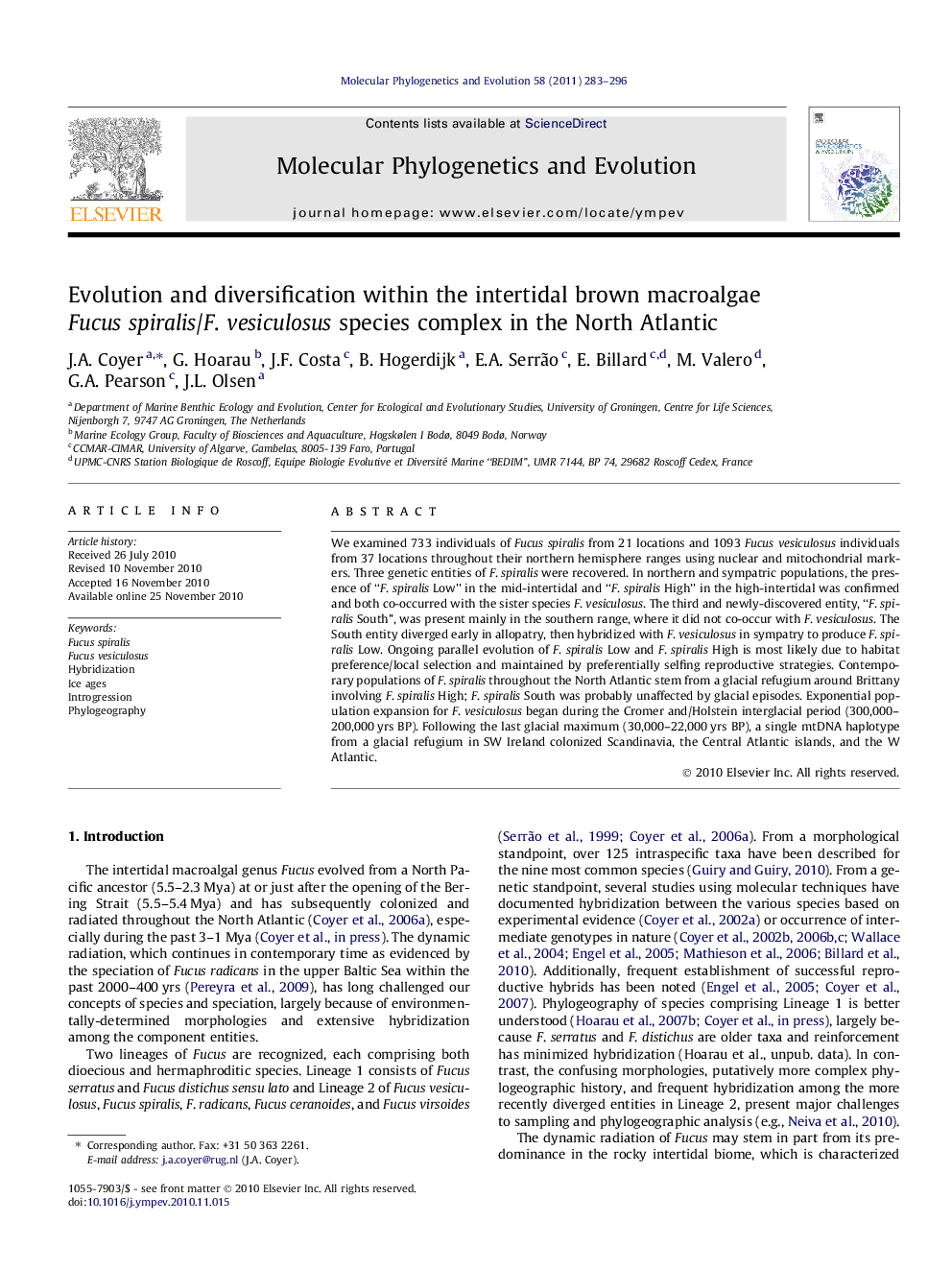 Evolution and diversification within the intertidal brown macroalgae Fucus spiralis/F. vesiculosus species complex in the North Atlantic