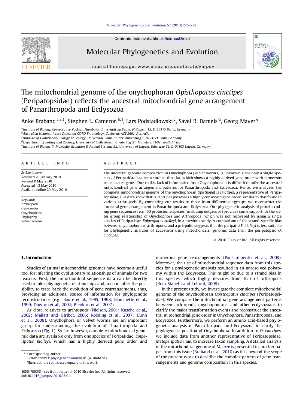 The mitochondrial genome of the onychophoran Opisthopatus cinctipes (Peripatopsidae) reflects the ancestral mitochondrial gene arrangement of Panarthropoda and Ecdysozoa