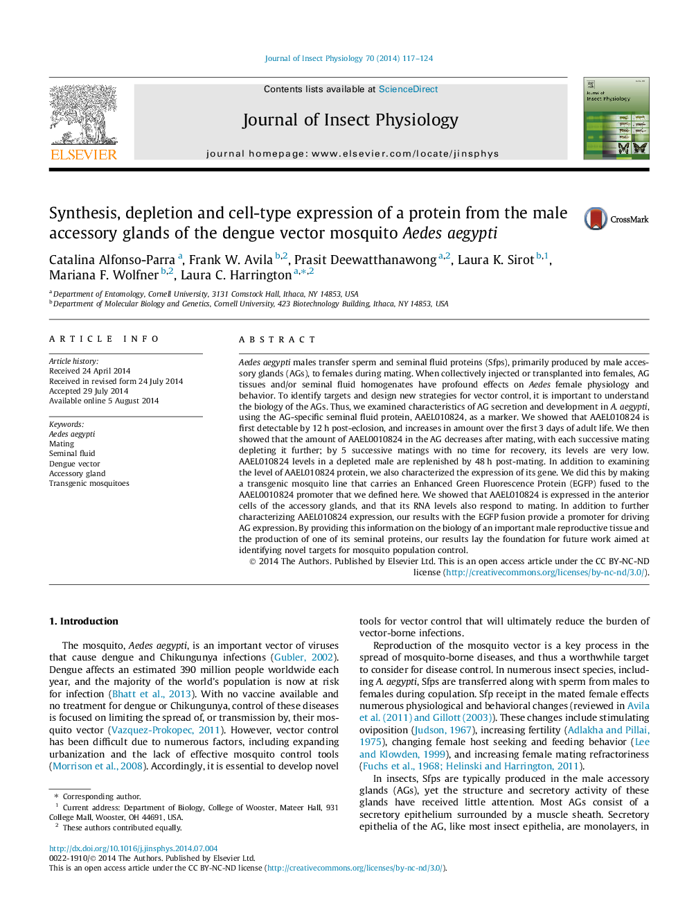 Synthesis, depletion and cell-type expression of a protein from the male accessory glands of the dengue vector mosquito Aedes aegypti