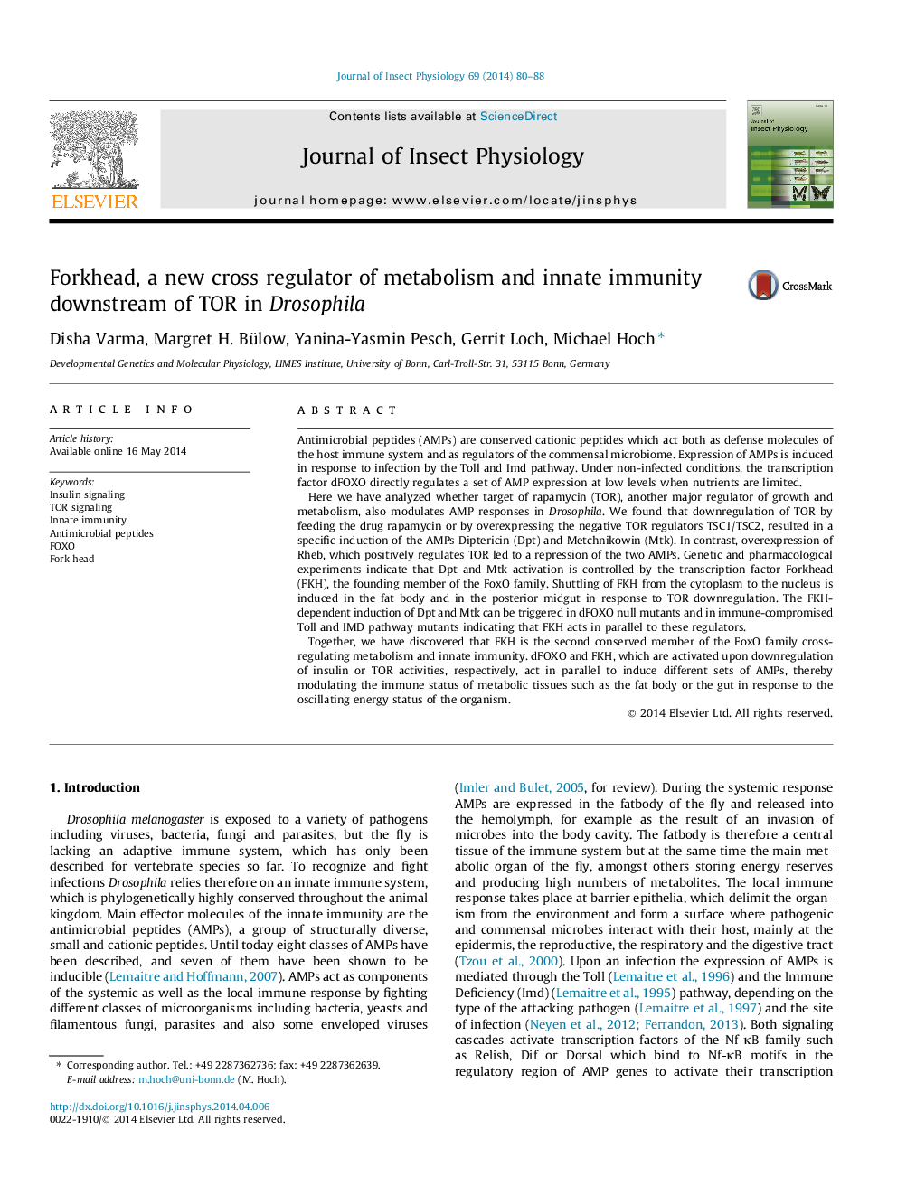 Forkhead, a new cross regulator of metabolism and innate immunity downstream of TOR in Drosophila