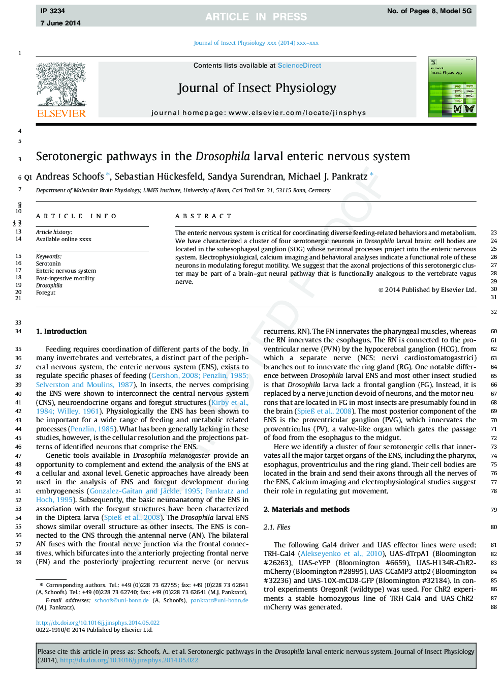 Serotonergic pathways in the Drosophila larval enteric nervous system