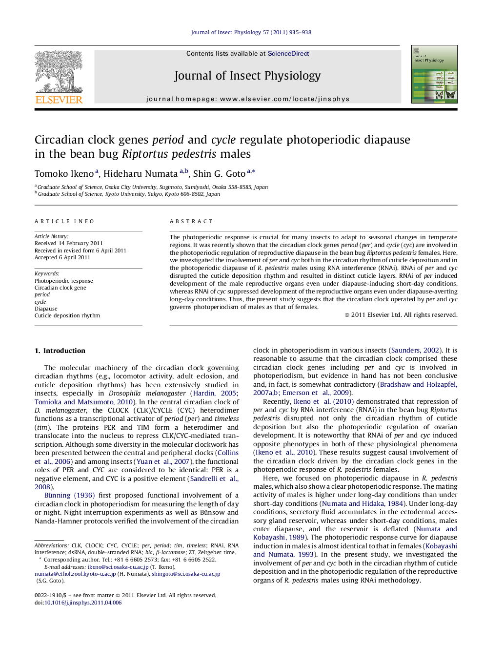 Circadian clock genes period and cycle regulate photoperiodic diapause in the bean bug Riptortus pedestris males