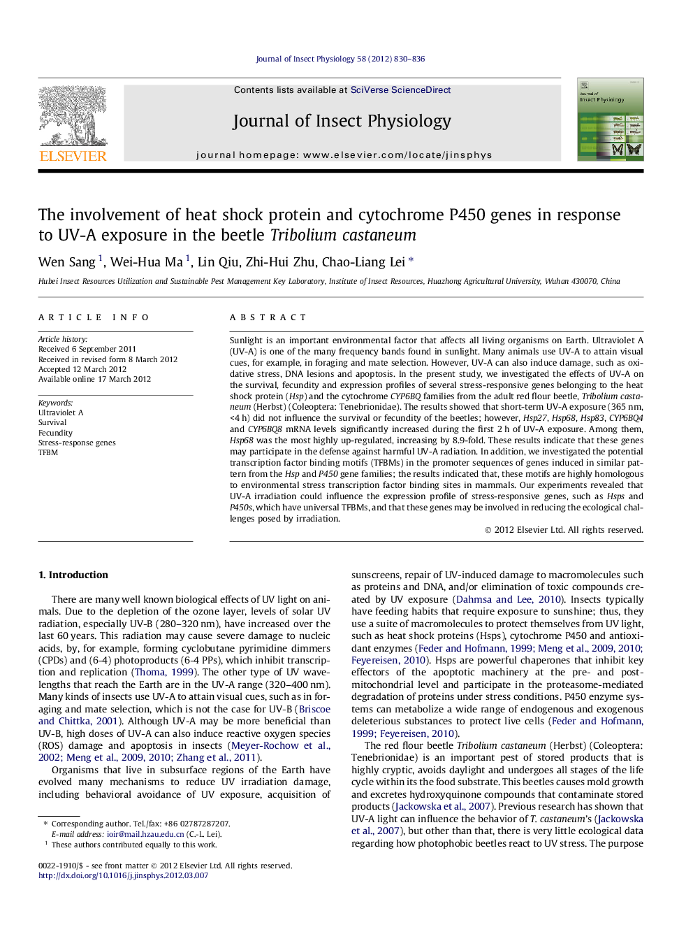 The involvement of heat shock protein and cytochrome P450 genes in response to UV-A exposure in the beetle Tribolium castaneum