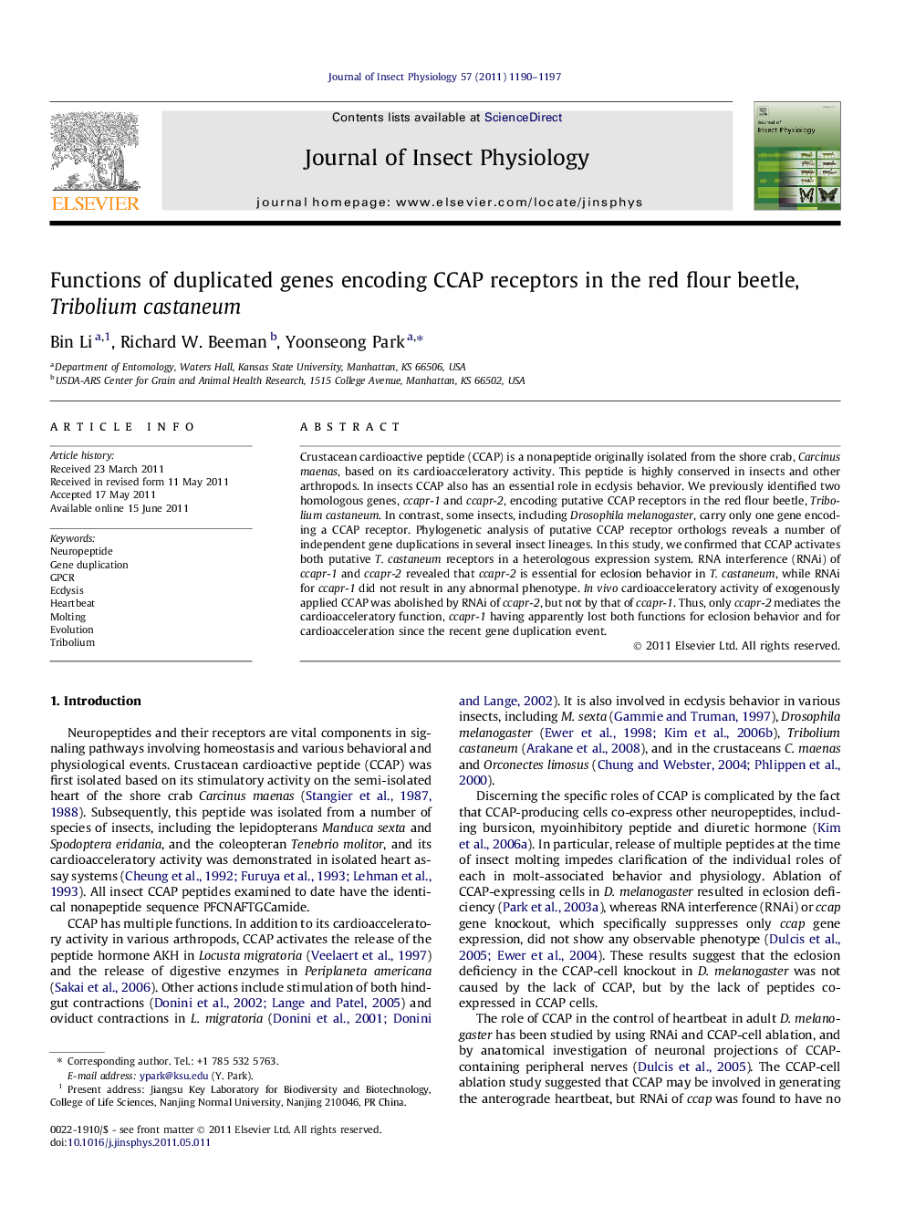 Functions of duplicated genes encoding CCAP receptors in the red flour beetle, Tribolium castaneum