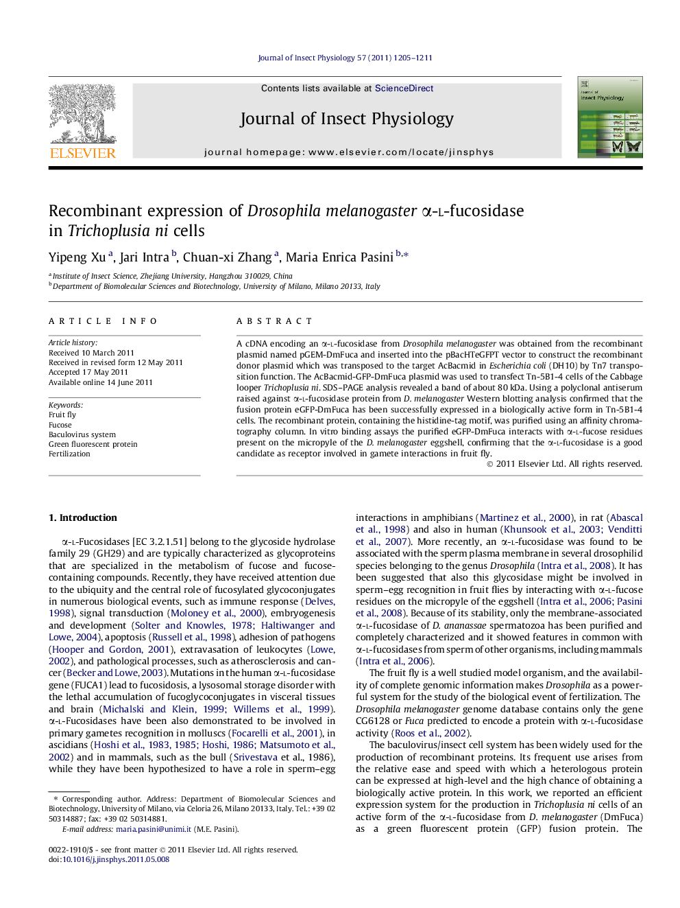 Recombinant expression of Drosophila melanogaster Î±-l-fucosidase in Trichoplusia ni cells