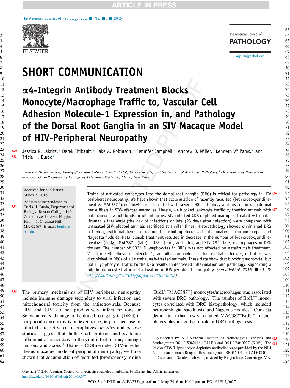 Î±4-Integrin Antibody Treatment Blocks Monocyte/Macrophage Traffic to, Vascular Cell Adhesion Molecule-1 Expression in, and Pathology of the Dorsal Root Ganglia in an SIV Macaque Model of HIV-Peripheral Neuropathy